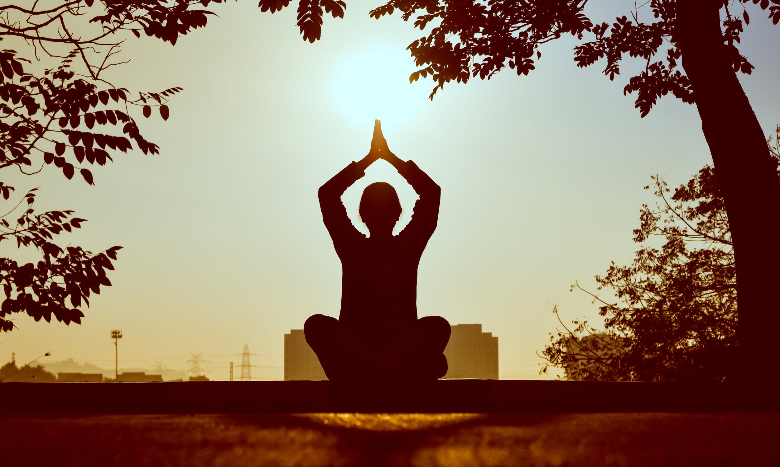 wellness within.A journey to inner balance